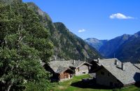 Rifugio Alpenzù - Gressoney Saint Jean Valle d'Aosta - paesaggio alpino