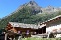 Rifugio Alpenzù - Gressoney Saint Jean - Monterosa