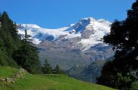 Rifugio Alpenzù - Gressoney Saint Jean Valle d'Aosta - cartolina dalla Vallée