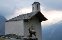 Rifugio Alpenzù - Gressoney Saint Jean Valle d'Aosta - incontri sul Monte Rosa
